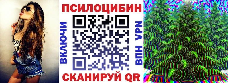 МЕГА зеркало  Фролово  Галлюциногенные грибы Psilocybe 